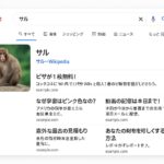 「Google等検索で変な結果がでる!」私の体験から学ぶ検索スパム対策マニュアル ~ブランドを守るための実践ガイド