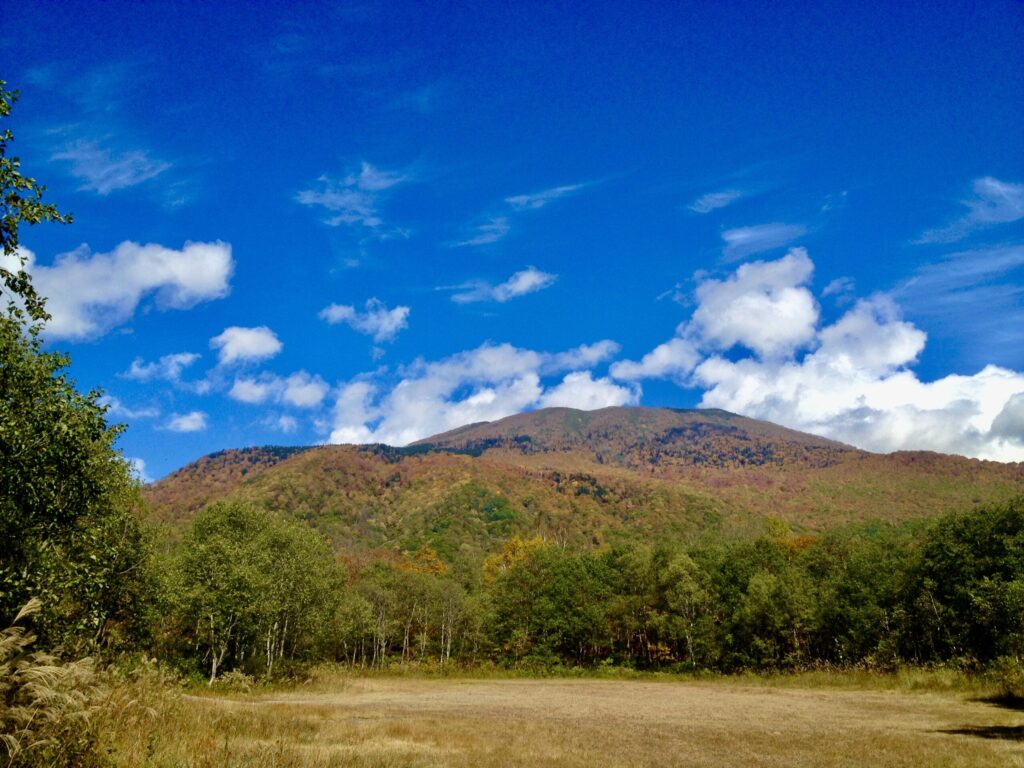 秋の黄金色を走って、燕温泉へ。笹ヶ峰と山の宿ごはんをめぐる妙高〜長野秘境の小さな旅