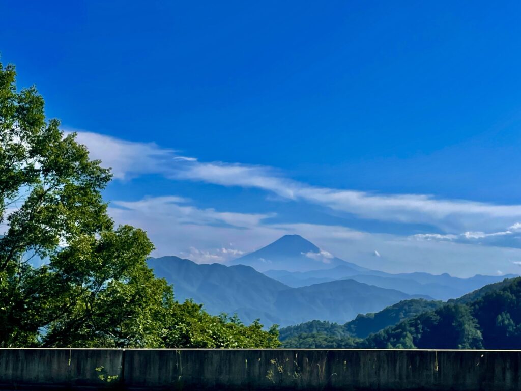 秋、山梨へ行こう。青梅街道を走って、果物・栗・きのこに会いに行くぶらり旅。